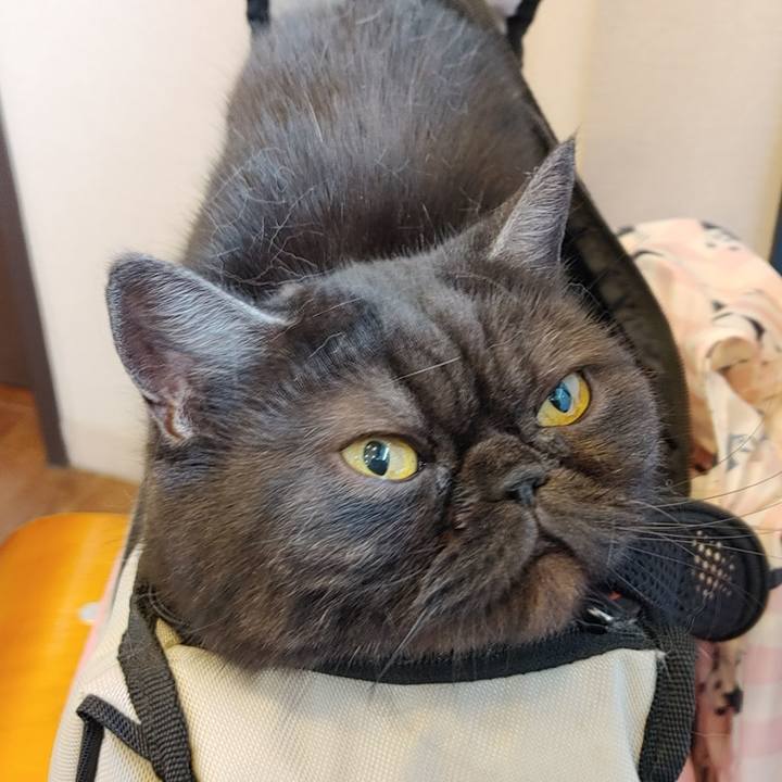 C35d5c46 d5e0 4069 adbe 86d926d571e2 1614992667958