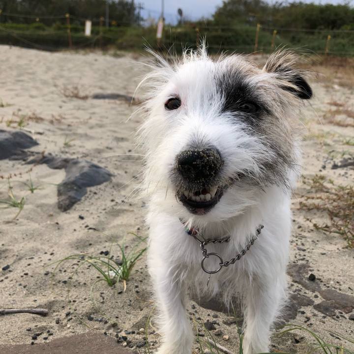 C35d5de1 8566 41ae 888e 718f6452029f 1603320067772