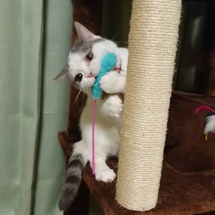 C35d828d 77c7 41a8 ba53 a3beb9526ccc 1604221630483