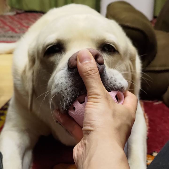 C35dbc82 3893 48f1 9280 8a498a90fe7f 1658401873053