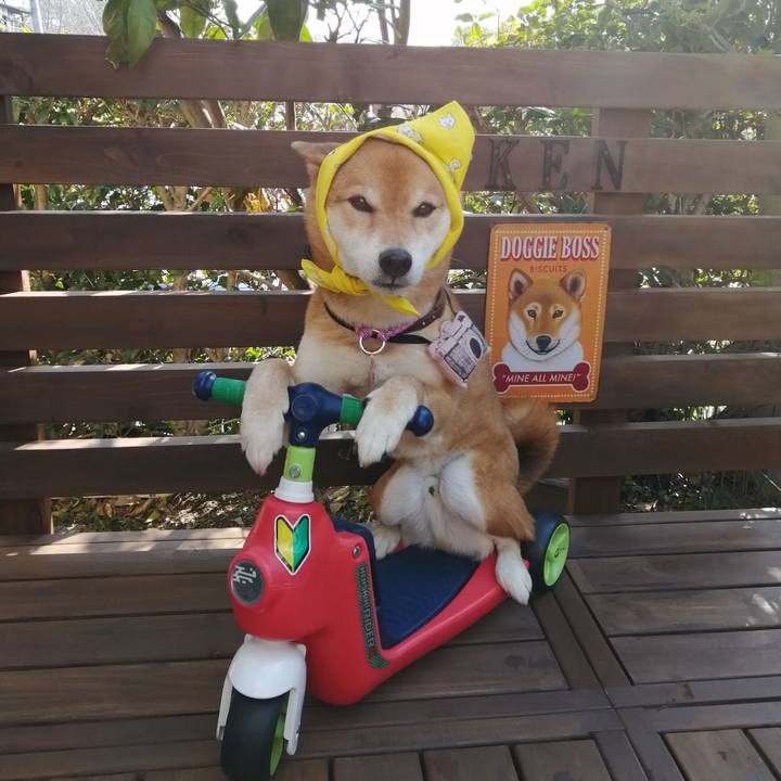 C35ddaa1 169f 45c5 a9d3 59d1a5409091 1616545893627