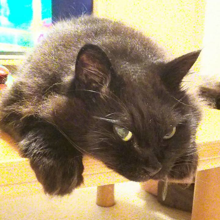 C35e5914 469d 4db7 aee0 38609bc0afc0 1531660695244