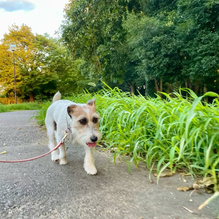 C35e8a42 99a7 4cb7 a995 d336a5b56688 1660908738961