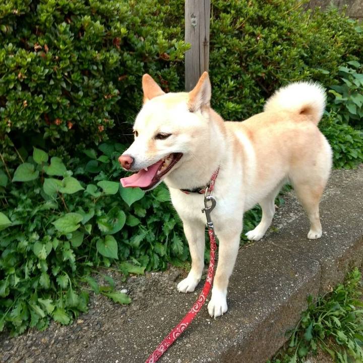 C35e8eae cb9f 4c7b b1c9 ca85a43ad0d5 1564739037837