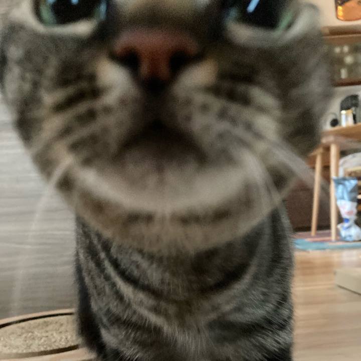 C35ebb6a 0572 4097 926e 714299fb8408 1634431592315