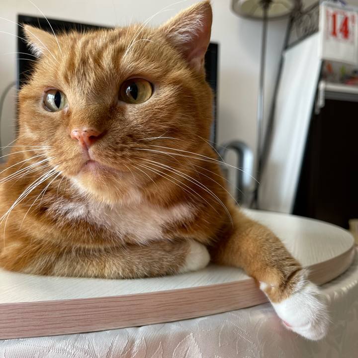 C35ec850 a1a9 452a 9616 c89c094b8386 1660443130842