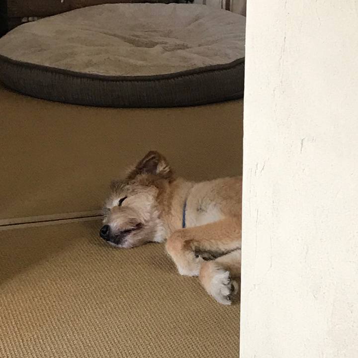 C35ecf34 1829 42ed bbfa 213b65238c7a 1598163909723