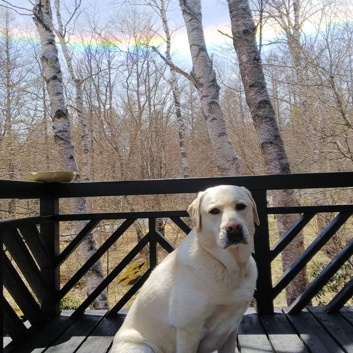 C35ed914 aba6 4cb4 952c b5c5d96d3513 1556419366134