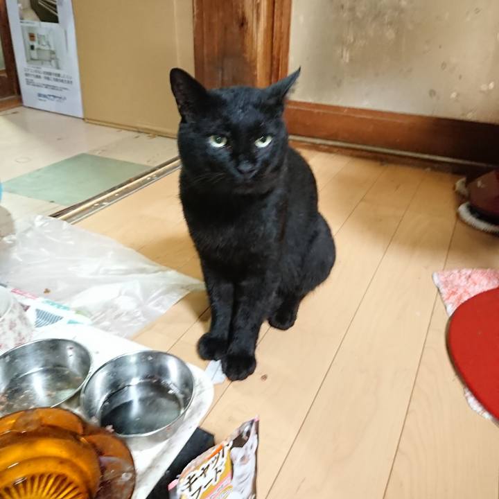 C35ee0ce 7104 4c5a 8d4c 6466c5936153 1629461635038