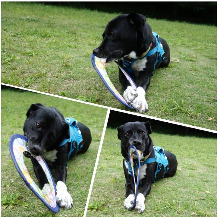 C35ee6e2 2eec 4dbe b131 7939fccbe409 1620692342323