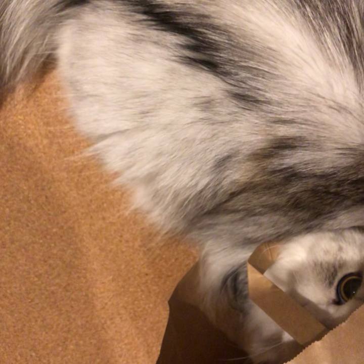 C35eec12 13c7 4033 9e73 3e394ca15b78 1661587160087