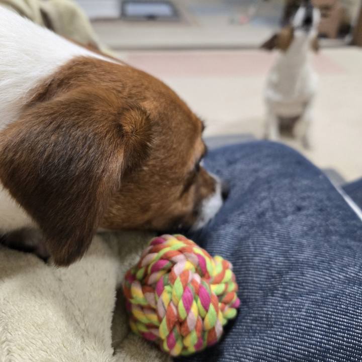 C35f17ac 0fda 4149 8928 1e7c48936a77 1769336028137