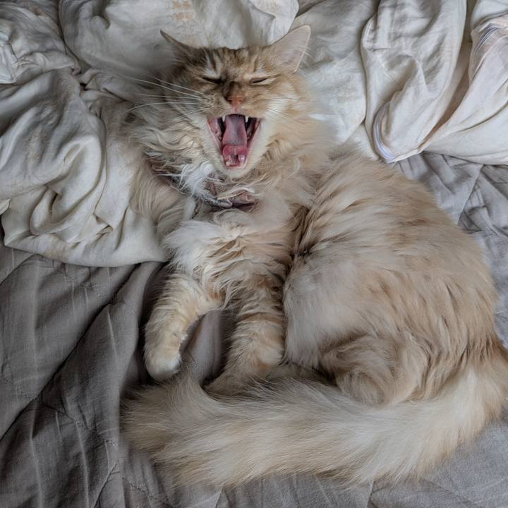 C35f19dc a21f 4278 9801 39c0563b957d 1745555566822