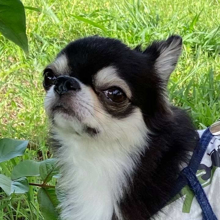 C35f4ca5 f4b9 46d2 88b8 903264919653 1685289391515