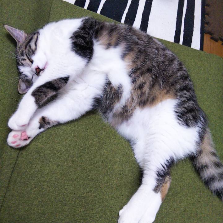 C35f52eb 55b5 4225 b4ad 9ef8bf4b119a 1623072645872