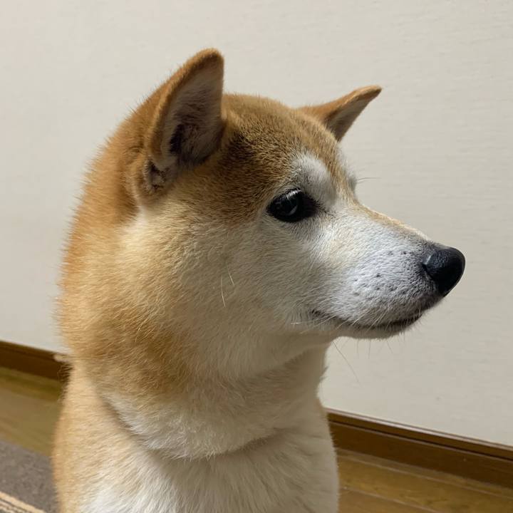 C35f7c1a e635 42a9 90ce 99d60bac7338 1655376957946