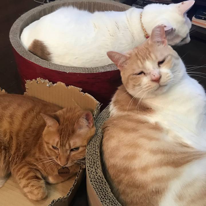 C35fbeee ff5b 48bc ae27 85aa6aebaece 1551276436823