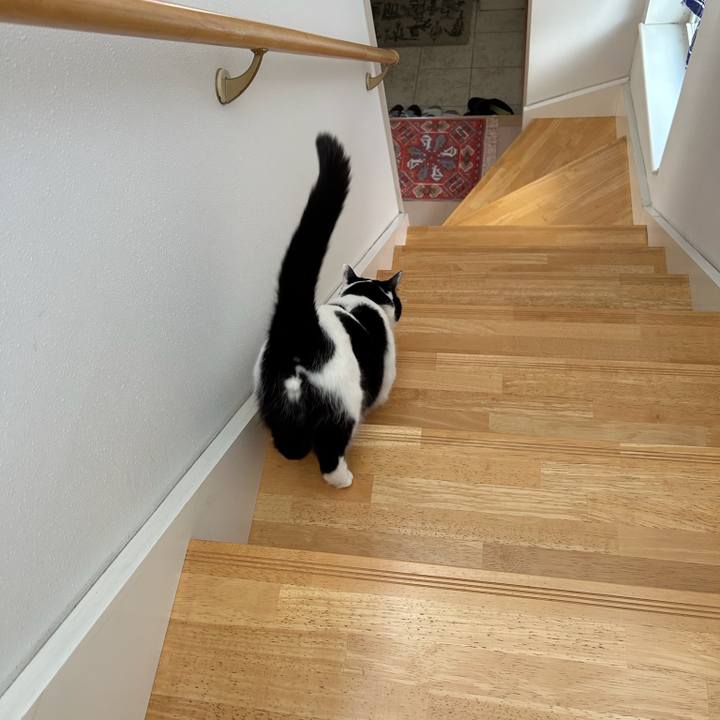 C3600b32 45bb 4d93 9724 ebf1c9b3c1bf 1773790003093