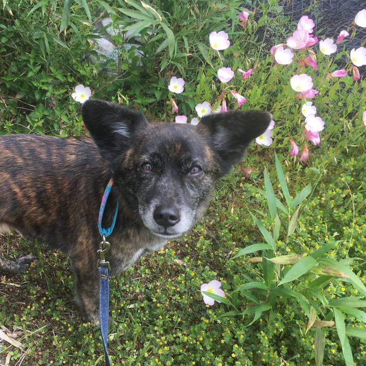 C3601d9d bd7a 4bb9 8ebf d5b69f9746c6 1556330053053