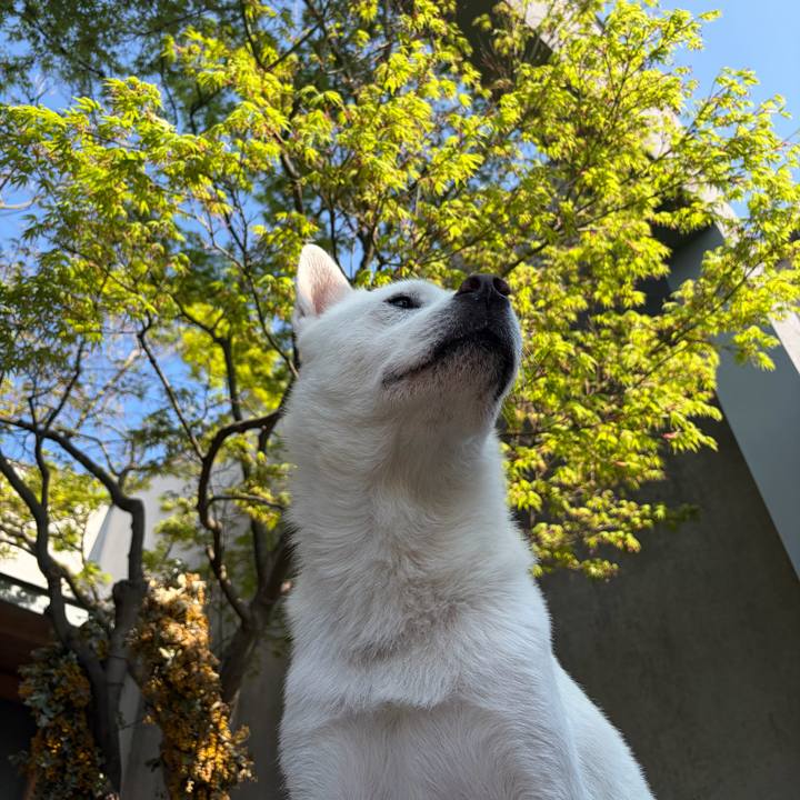 C3603da7 e101 4808 b1a7 5b7fe54bde6f 1775125109037