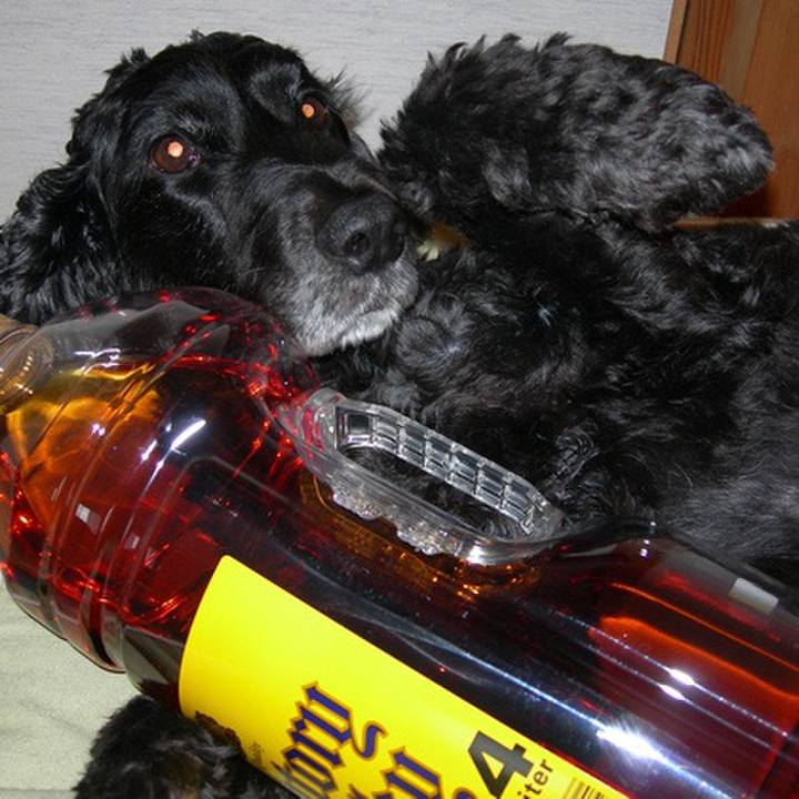 C3606525 80ff 41ab b595 8ae705d3c06a 1522207285511