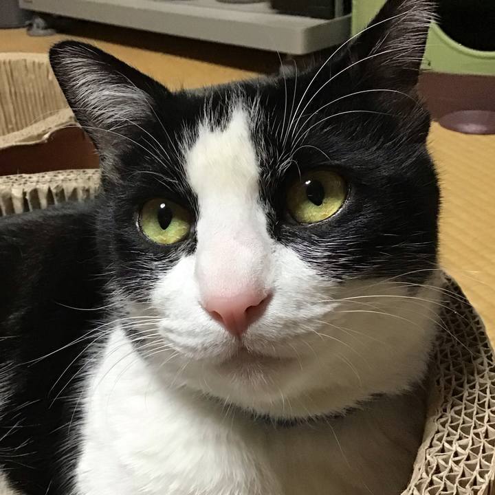 C360683e 8ab8 46b4 bbb6 689fc37d41ff 1704268817851