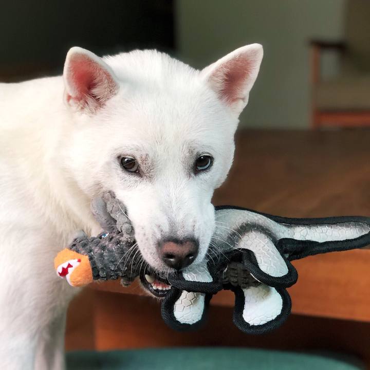 C3608658 c8c5 48f0 901b 542239c2a719 1567990097265