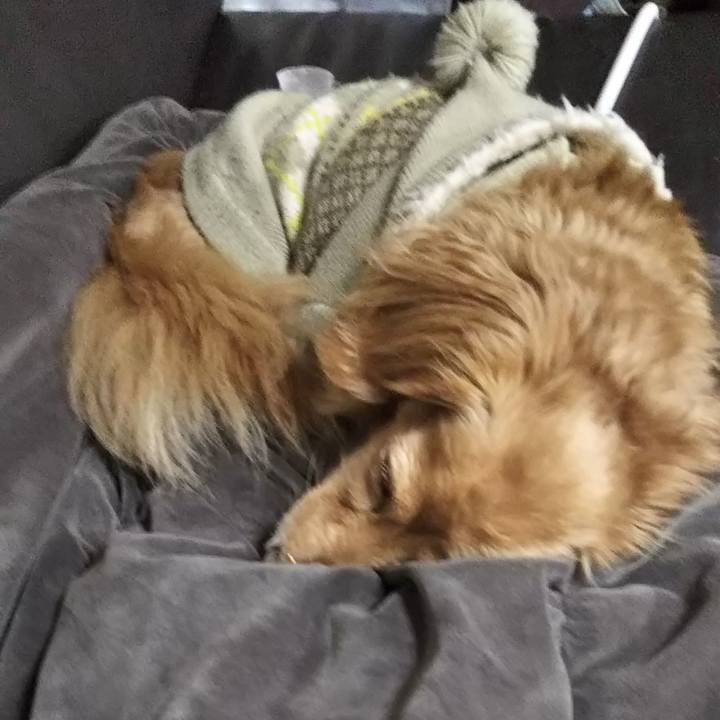 C3609158 df25 42ca 8a7f 9912869d01da 1576625206096