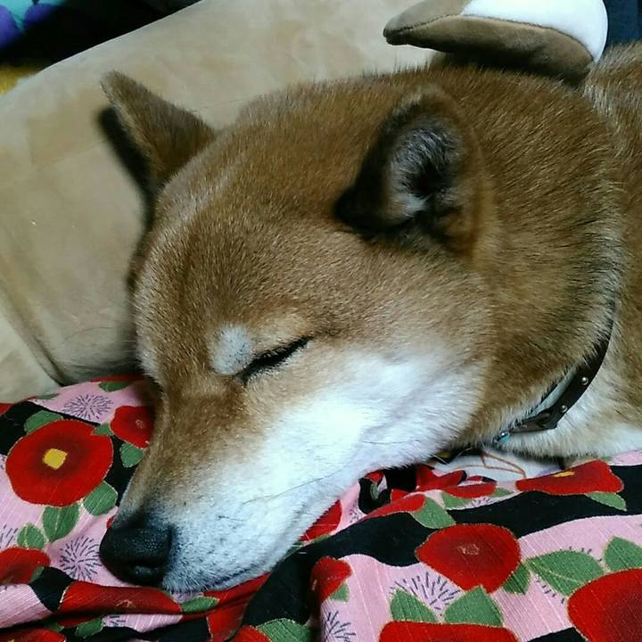 C360ae98 8fea 4d83 9307 063993d14544 1552994553542