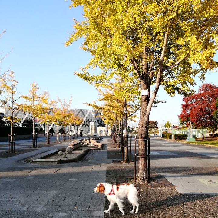 C360f0bc efc4 45bf 99d1 60fe2f378cb7 1605180405738