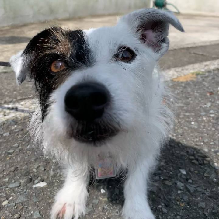 C360fb7d 93ac 4458 836c 7657600ed62f 1654214432089