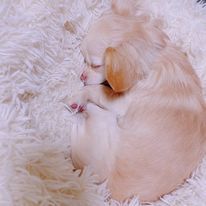 C361210d 3a85 4754 9c7f aa3dddfcd8a9 1677538059871