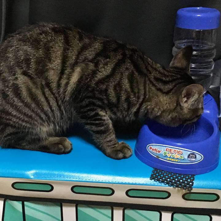 C3613cb7 0e87 468d b8db 1a3e3e7c2674 1541757205590