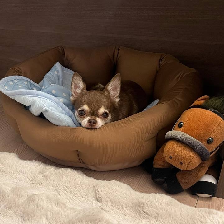 C361612c a05f 4aae 815f 0595f992f939 1754207368045