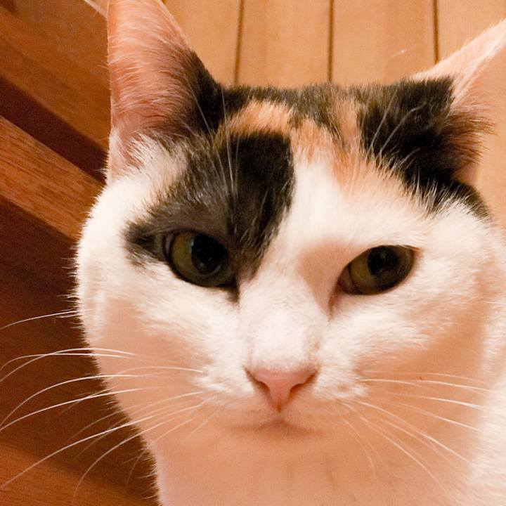 C3617f2a 3bb6 46ff 9633 7c490ff11b37 1527732172405