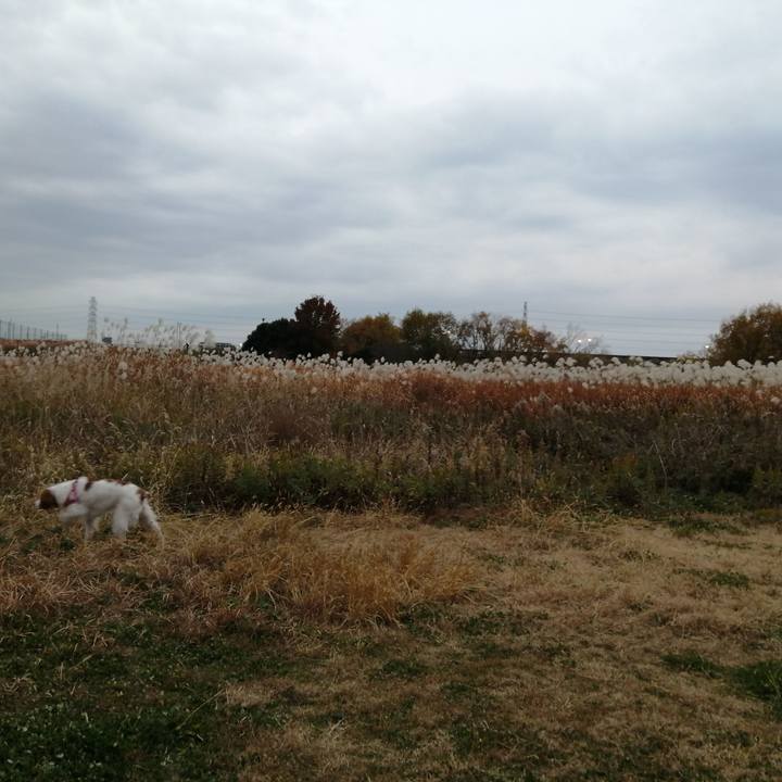 C361a20d 5b03 402c b84a 21a88d56de67 1607902773121