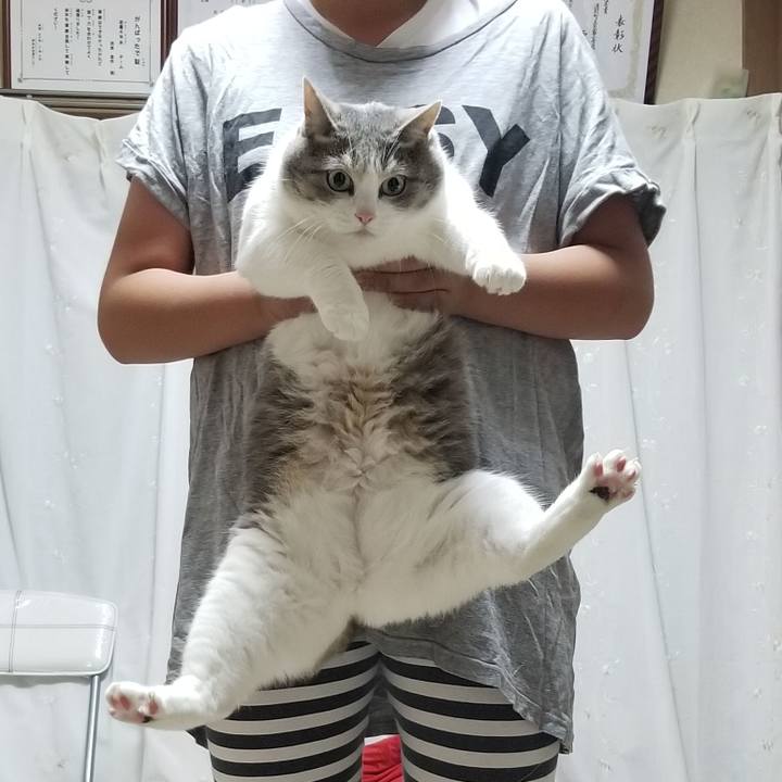 C361ef99 4b88 4a35 81f0 9e5765d67046 1593439526420