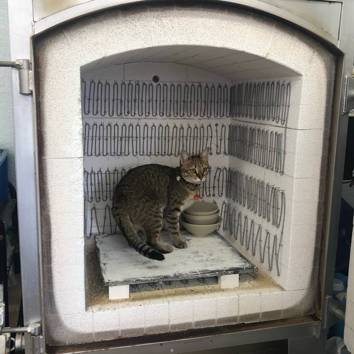 C361f52a a5ea 4110 8bcd 65163e92c16c 1610942517876