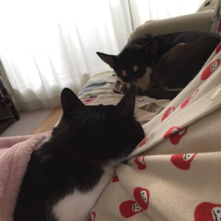 C362123e 1fc8 4189 ae75 addc9216e844 1510701686642