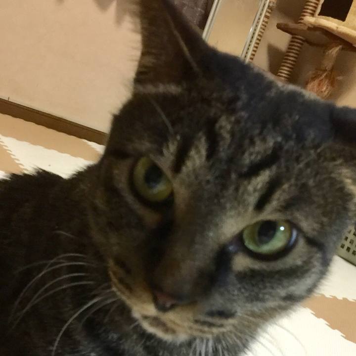 C36212d1 0584 42ae 8232 62c8677797a1 1550662395900