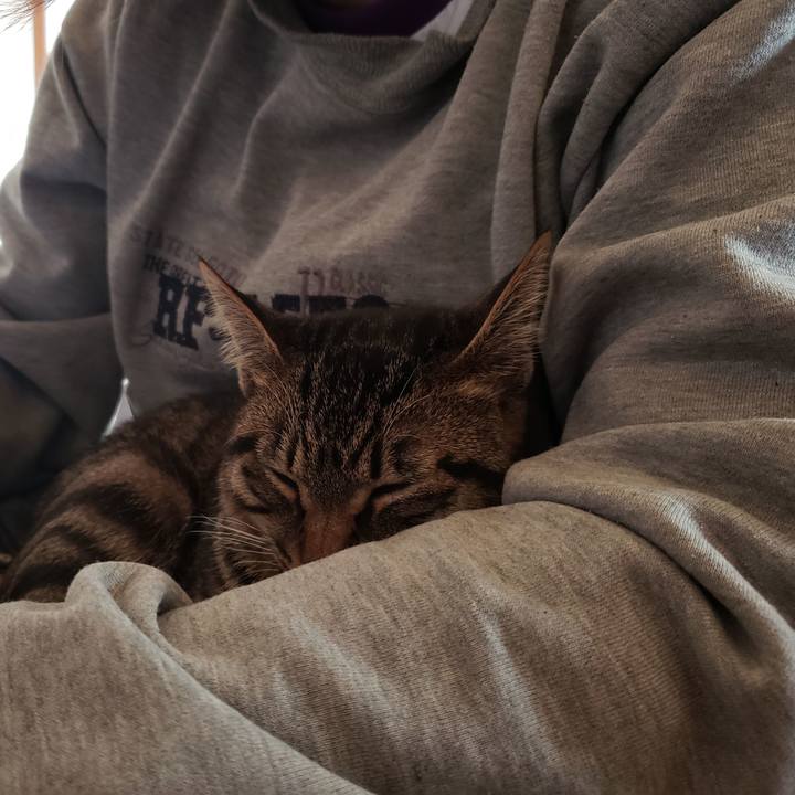 C3621f81 50b9 4af2 a457 d4d1fe61aba4 1548302714710