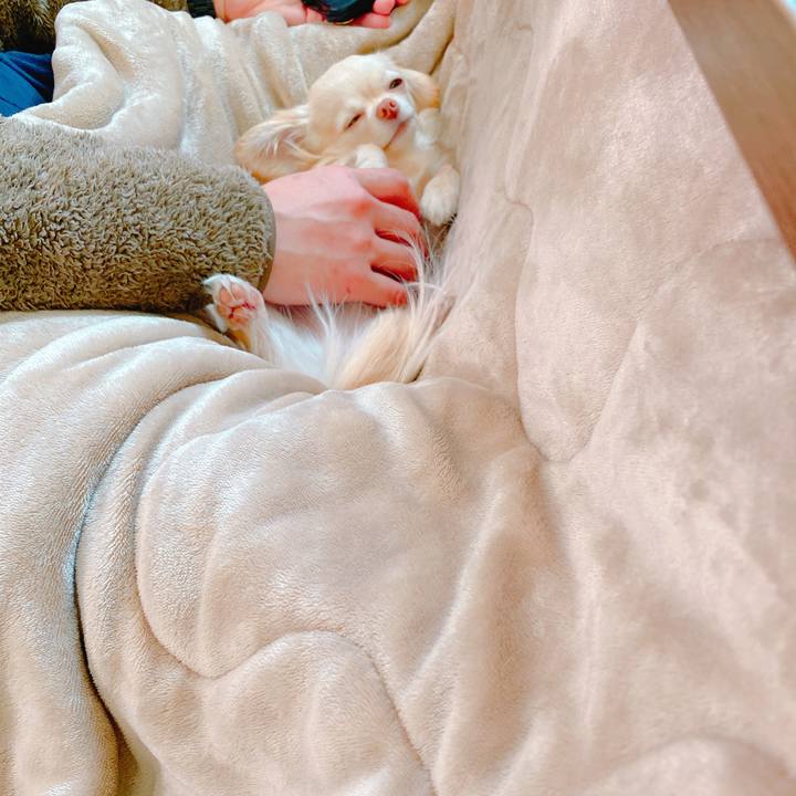 C3622c41 2210 41be 8445 fcb49dd61528 1644628668458