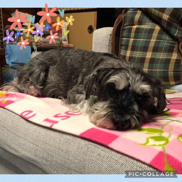 C362489a 46c0 4ebb b003 c3ed33c3a752 1682001310820