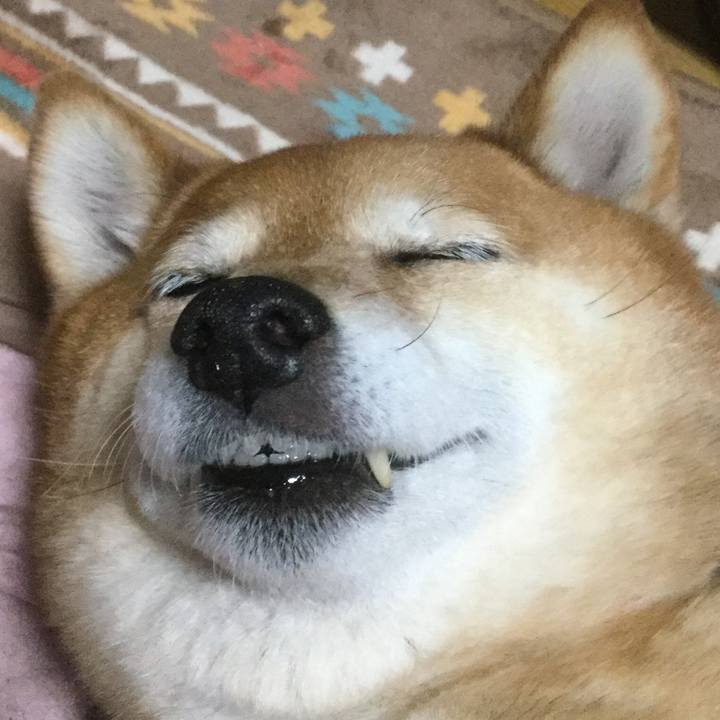 C36272fc ac4f 4728 ac1e 9f74d36518a2 1553609656154