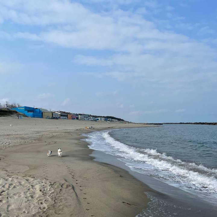 C362ab2a 7a04 4cb8 8953 7c6e4e2dd0e0 1650329487007