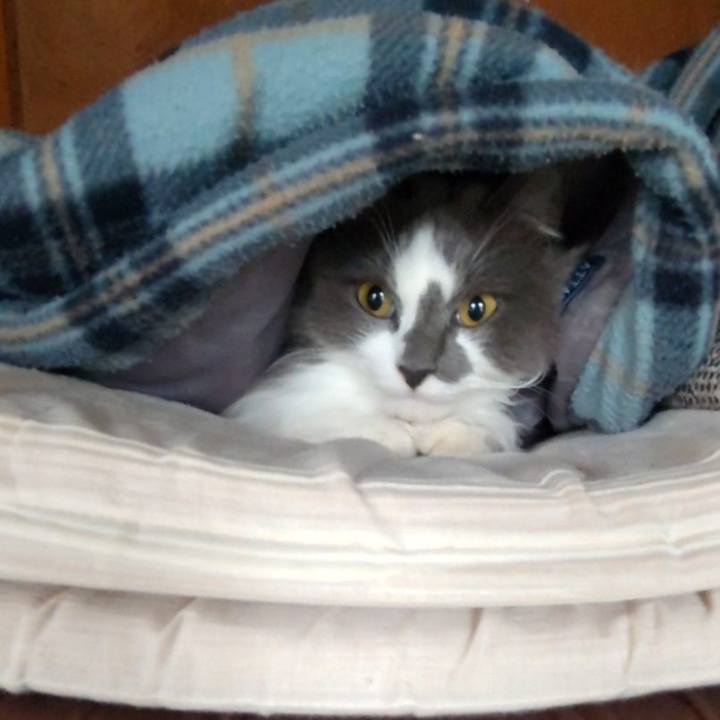 C362e82b 37c9 43a7 9773 9b8604df9b61 1644743674906