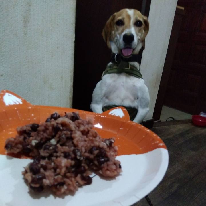 C36301e0 90c0 4b9f b380 e1baeaf094ea 1691755152106