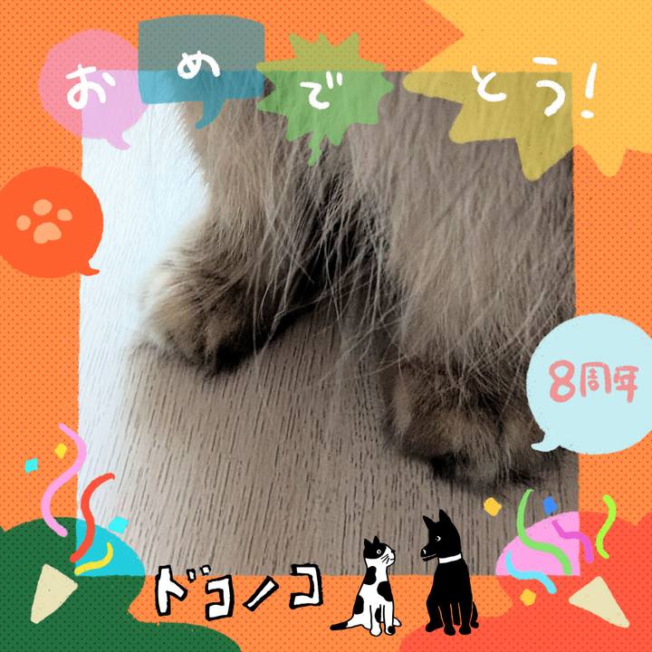 C3630dba 85a3 4491 b2ae 32d9830cbd7e 1718052400675