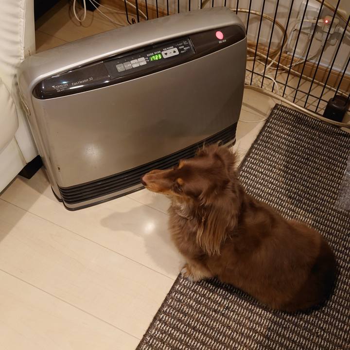 C3631e3e 455e 4224 b25a 3b368288d24f 1666431648121