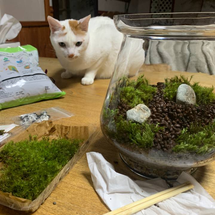 C3632bde 7989 4702 af9c eef9128ef17c 1654001926888